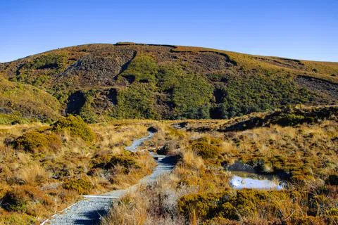 Blue skies during spring time on the hiking trails at Mount Ruapehu, New Zealand Stock Photos