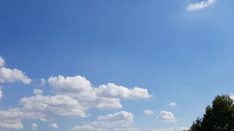 Blue Skies Stock Footage 95027405