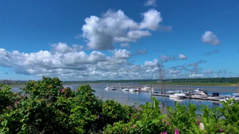 Blue Skies at the Harbor Stock Footage 252149290