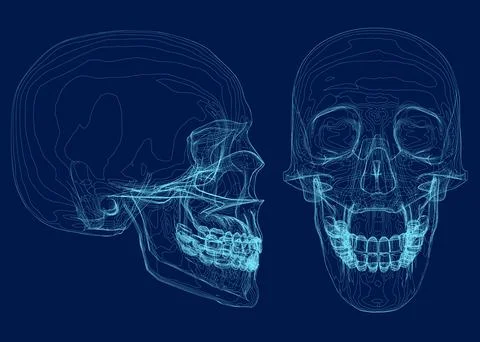 Blue skull with line on abstract background. Wireframe space low poly guard with Stock Illustration