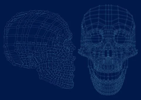 Blue skull with line on abstract background. Wireframe space low poly guard with Stock Illustration