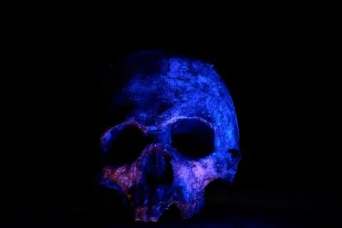 Blue Skull Stock Photos