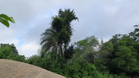 Blue sky and beautiful cloud with meadow tree. Stock Footage 202089371