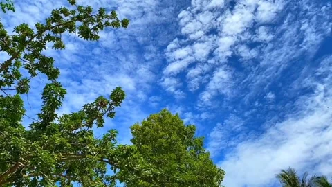 Blue sky and breeze Video stock 245090686