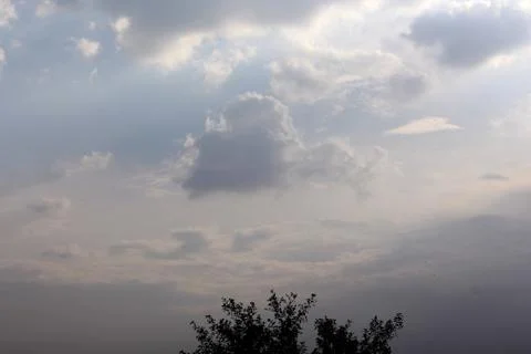 Blue sky and cloud with tree Stock Photos