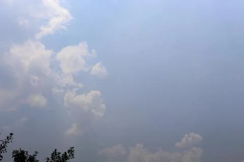 Blue sky and cloud with tree Stock Photos