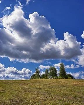 Blue sky and cloud with trees. Plain landscape background for summer. Stock Photos