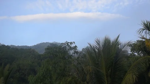 Blue sky and clouds over the palm trees Stock Footage 129694048
