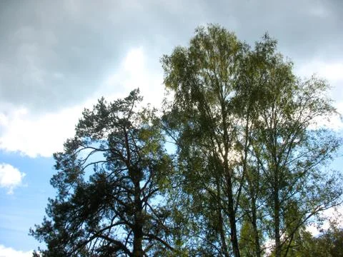 Blue sky and clouds Stock Photos