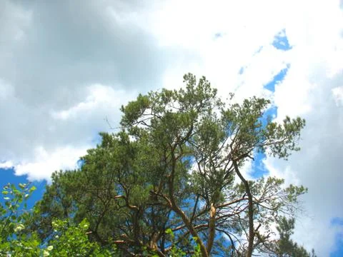 Blue sky and clouds Stock Photos