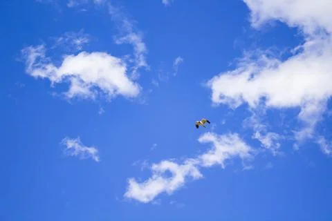 Blue sky and clouds Stock-Fotos