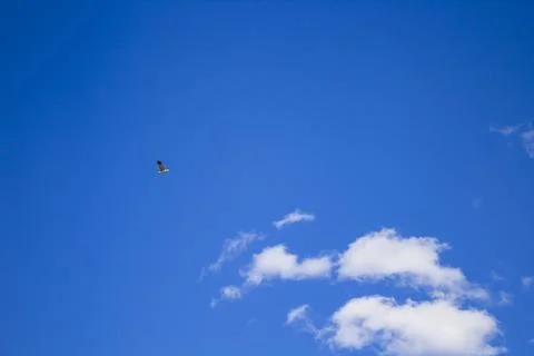 Blue sky and clouds Stock Photos