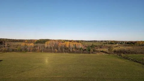 Blue sky and fields with some patches of trees Stock Photos