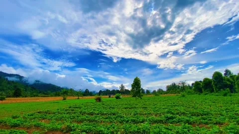 Blue sky and green fields Stock Footage 245090656