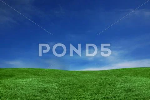 Blue sky and green grass landscape Stock-Fotos