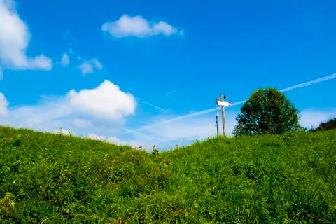 Blue sky and green path Stock Photos