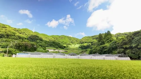 Blue Sky and Moving Clouds Timelapse Stock Footage 335569558