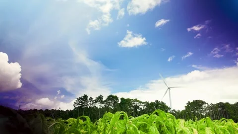 Blue Sky and Moving Clouds Timelapse Stock Footage 335569940