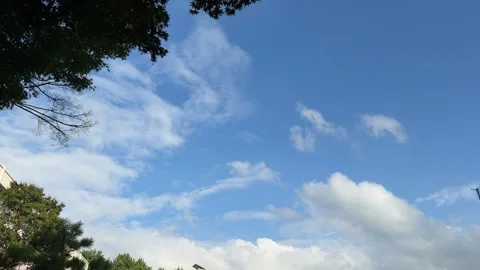 Blue Sky and Moving White Clouds Framed by Backlit Tree Leaves 库存影片 342738482