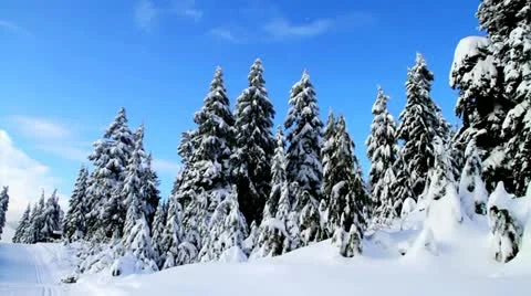 Blue Sky and Snow Video stock 15202916