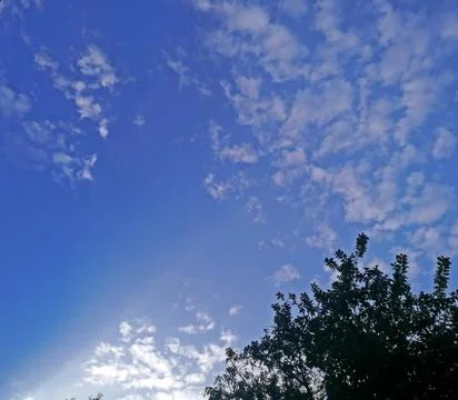 Blue Sky and tree background Stock Photos
