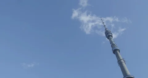 Blue sky and tree Stock-Footage 112087481