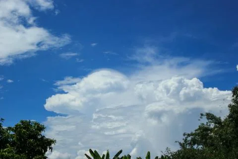 Blue sky and trees Stock Photos