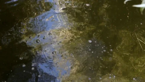 Blue sky and trees reflected in a raging lake Stock Footage 107337712
