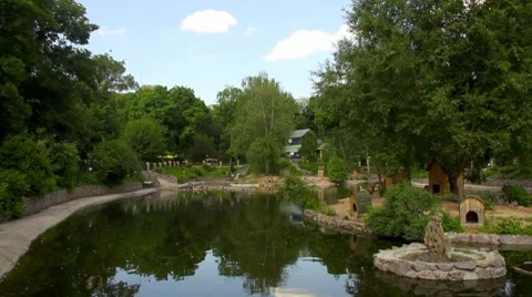 Blue sky and trees reflecting at pond Stock-Footage 8621681