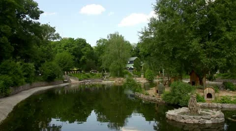 Blue sky and trees reflecting at pond Video stock 10820382