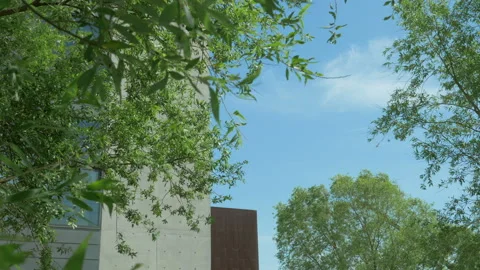 The blue sky and the trees shaking in the wind Stock Footage 86091210
