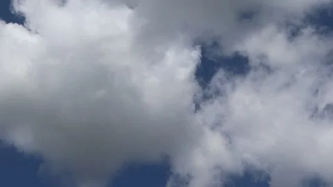 Blue sky and white cloud on tree, beautiful nature creative Stock Footage 154974571