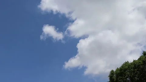 Blue sky and white cloud on tree, beautiful nature creative Stock Footage 154974595