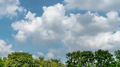 Blue sky and white cloud motion with tree,Time-lapse Video stock 240393806