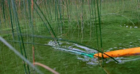 Blue sky and white clouds reflected in the water.  A romantic boat ride. Stock Footage 116015732