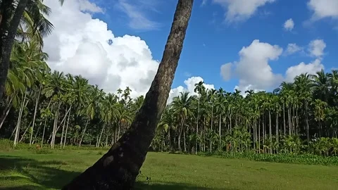 Blue sky and the white clouds time lapse Stock Footage 162969096