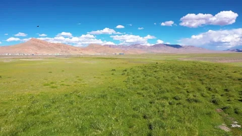 Blue sky and white clouds and wetland grassland Stock Footage 243019713