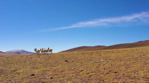 Blue sky and white clouds cover the sky Loess Stock-Footage 243075005