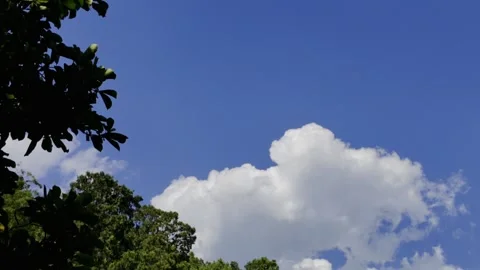 Blue Sky and White Clouds in Midsummer Stock Footage 318354796