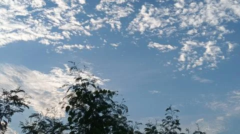 Blue Sky and White Clouds Over Trees Stock Photos