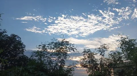 Blue Sky and White Clouds Over Trees Stock Photos