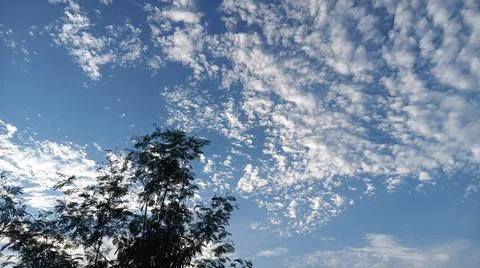 Blue Sky and White Clouds Over Trees Stock Photos