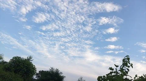 Blue Sky and White Clouds Over Trees Stock Photos