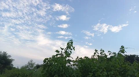 Blue Sky and White Clouds Over Trees Stock Photos