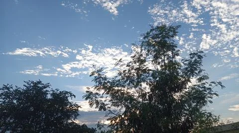 Blue Sky and White Clouds Over Trees Stock Photos