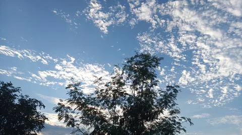 Blue Sky and White Clouds Over Trees Stock Photos