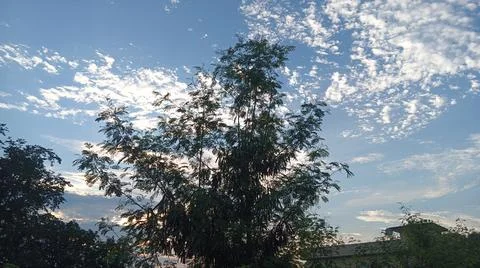 Blue Sky and White Clouds Over Trees Stock Photos