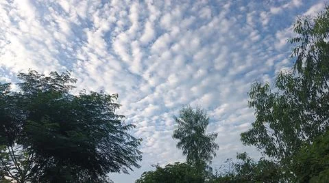 Blue Sky and White Clouds Over Trees Stock Photos