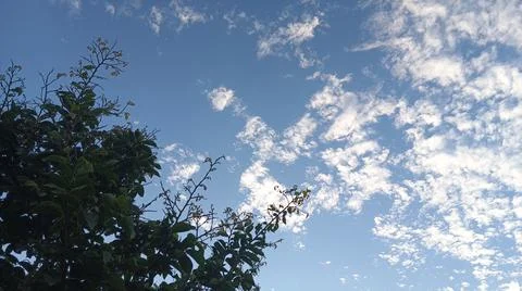 Blue Sky and White Clouds Over Trees Stock Photos