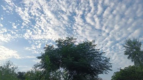 Blue Sky and White Clouds Over Trees Stock Photos